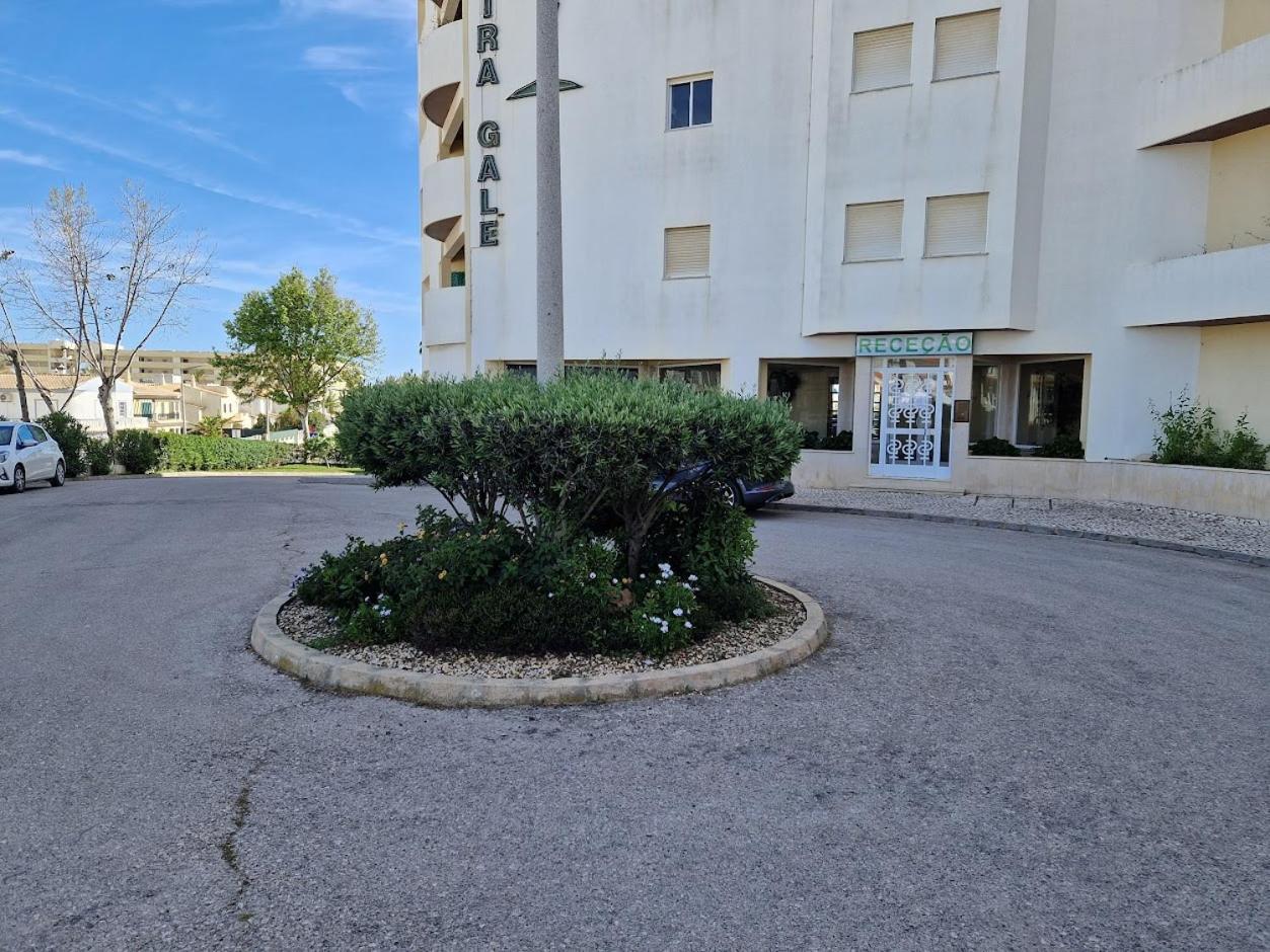 גיאה Apartamento T2 Palmeira Gale-Praia Da Gale מראה חיצוני תמונה